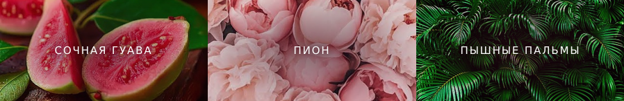 Ноты Bombshell Escape Снимок экрана 2026-10-01 174819.png