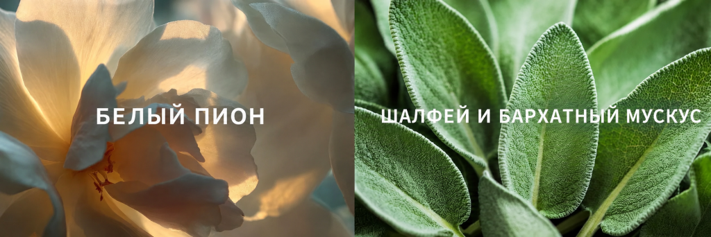 b69224e3-e670-43c0-9b51-81d24c40d51d.png